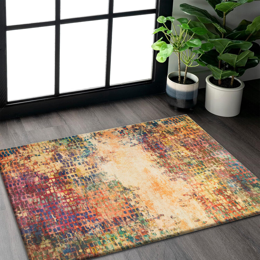 (60 x 110 cm (2 ft x 3 ft 7 in)_Door Mat, Vibrant) Traditional Large Rugs Indoor Outdoor Rug Carpets & Mats