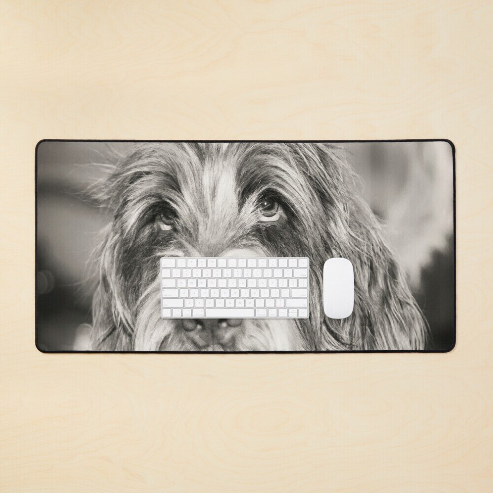 Desk Mat Happy Smiling Spinone Large Gaming Mouse Pad 35X16 Inch 7802738407709