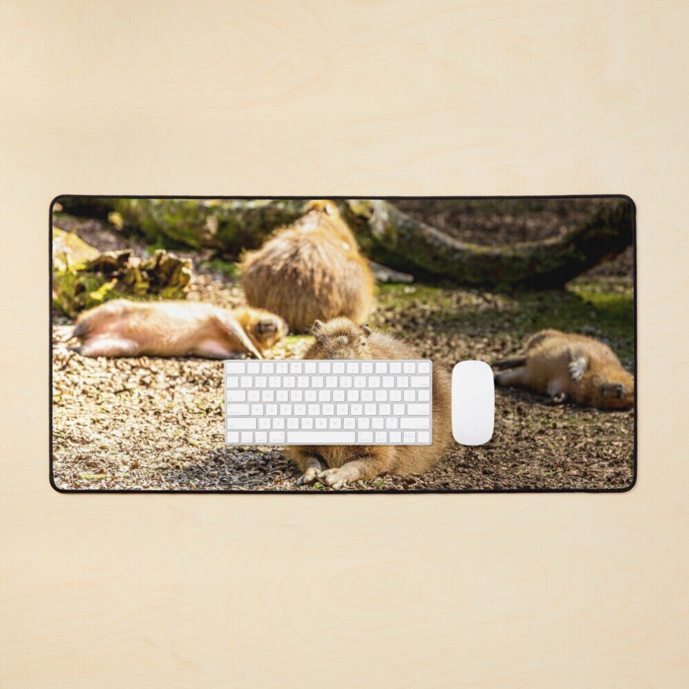Desk Mat Capybara Dozing In The Sunshine Large Gaming Mouse Pad 35X16 Inch 7802738346794