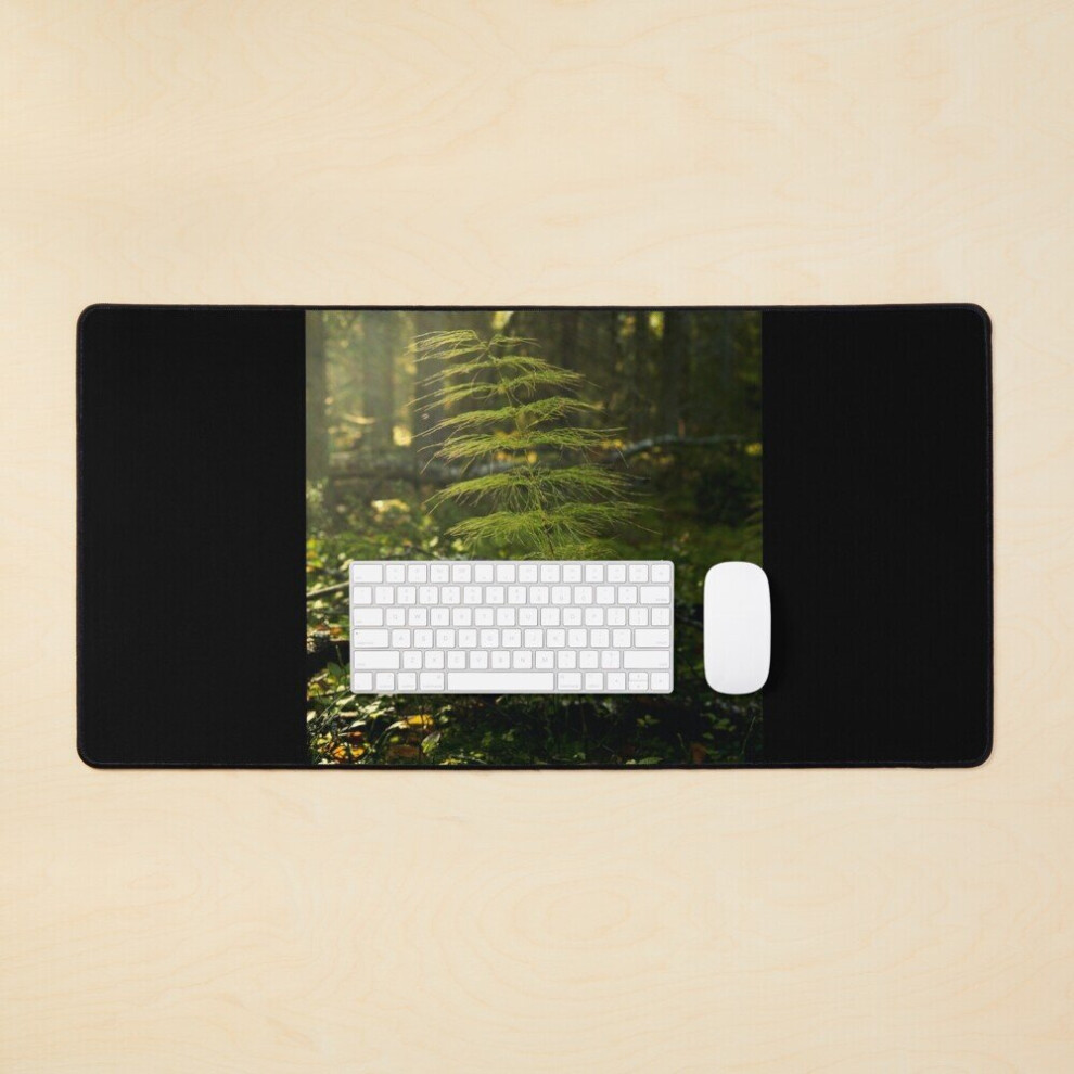 Desk Mat Wood Horsetail In Morning Haze Large Gaming Mouse Pad 35X16 Inch 7802738358674