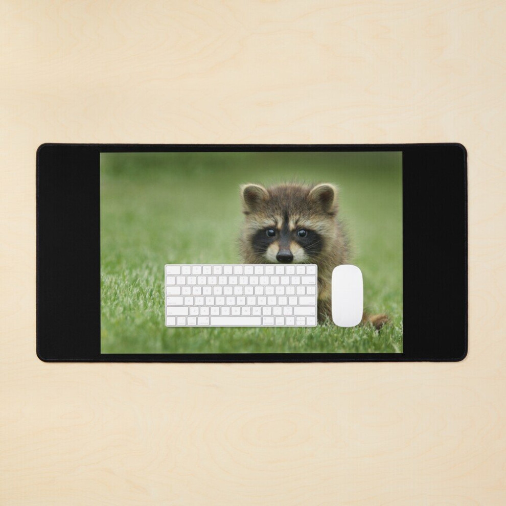 Desk Mat Cute Raccoon Walking On Grass Large Gaming Mouse Pad 35X16 Inch 7802738398694