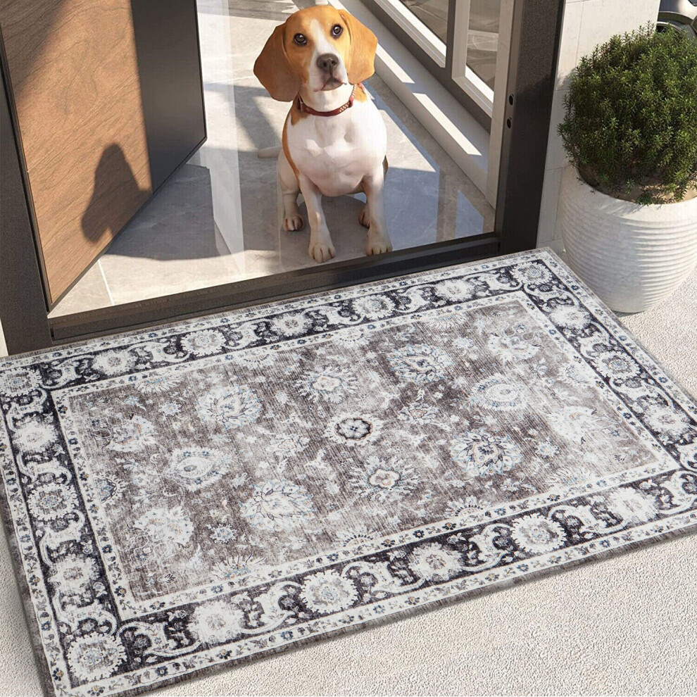 (40 x 60 cm (1.3 ft x 2 ft)- Small Rug/Mat., HARMONY- CASHMERE RUG) Large Traditional Rugs Living Room Carpet Door Mat