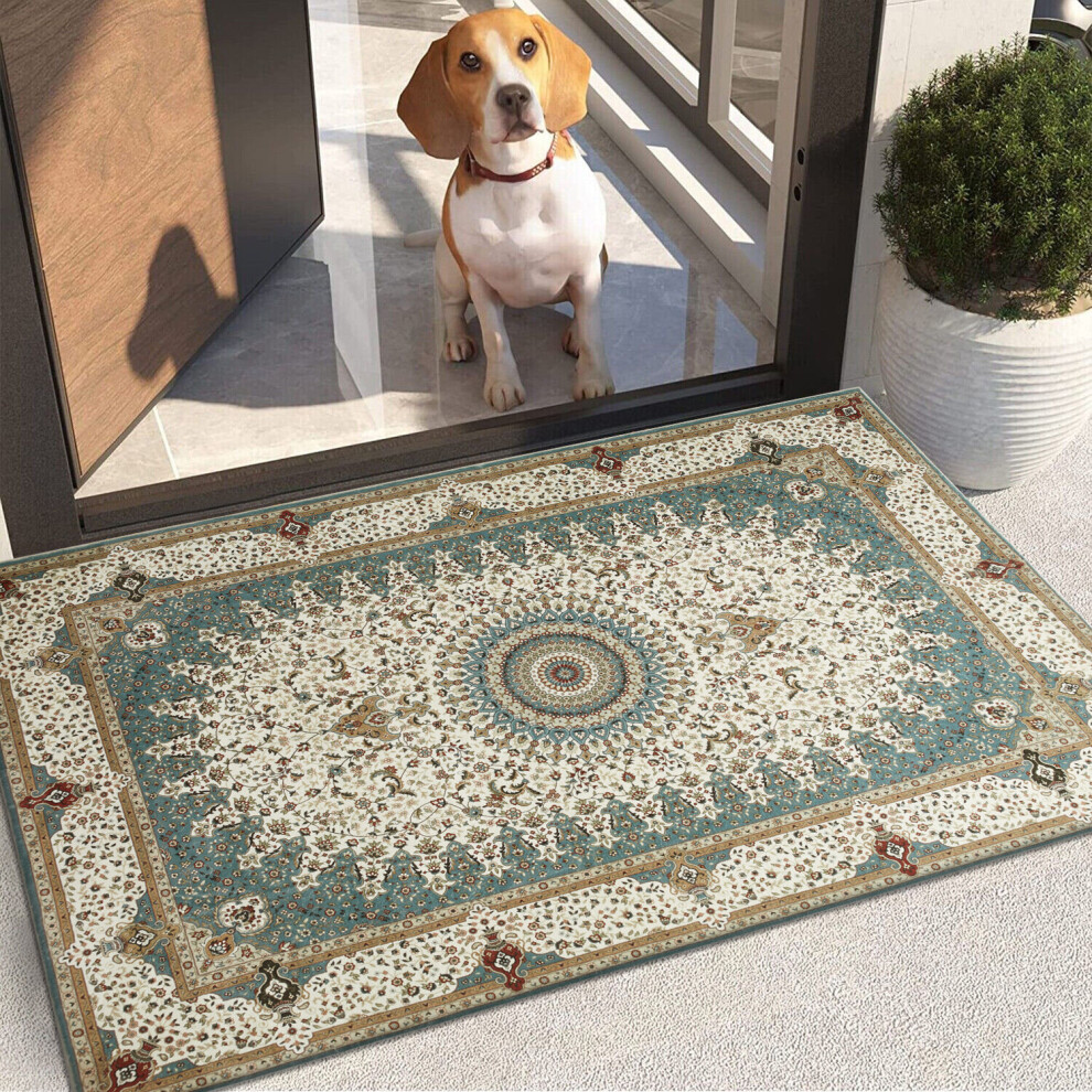 Imperial Rooms (60 Cm X 110 Cm (2Ft X 3Ft 7")- Large Rug/Mat., Willow- Cashmere Rug) Large Traditional Rugs Living Room Carpet Door Mat Green