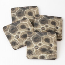 Leather Coasters Petoskey Stone Set of 4 / 4 x 4 inch