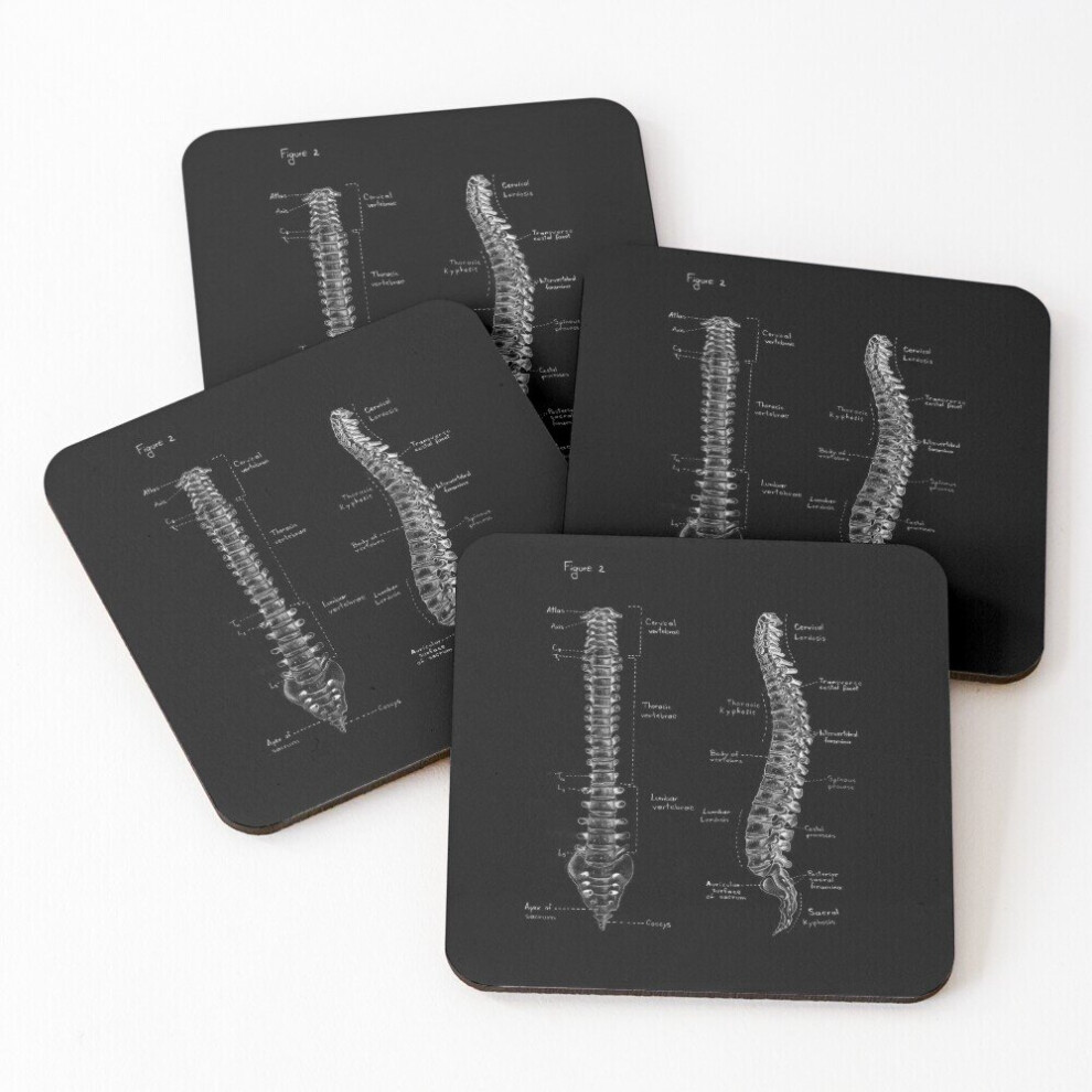Leather Coasters Spine anatomy on chalkboard black and white Set of 4 / 4 x 4 inch-image-OPC-PCGVWBK-NEW