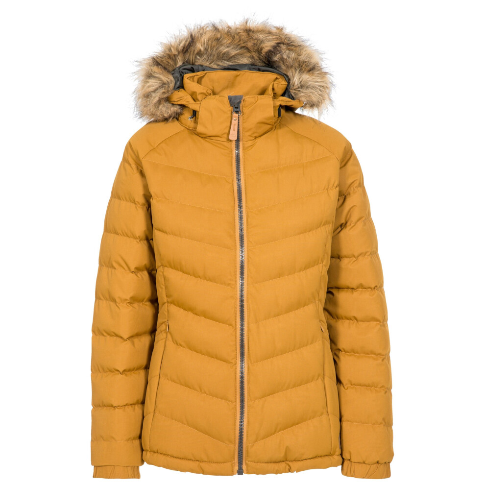 (10, Golden Brown) Trespass Womens Padded Hooded Casual Jacket Nadina