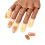 Nail Art Adjustable Training 4