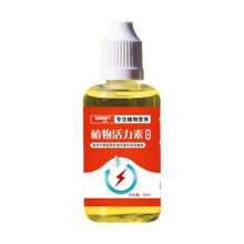Universal Plant Auxin Phytosomatin Natural Ingredients Flower Root Booster For Roses Violets Succulent Plants
