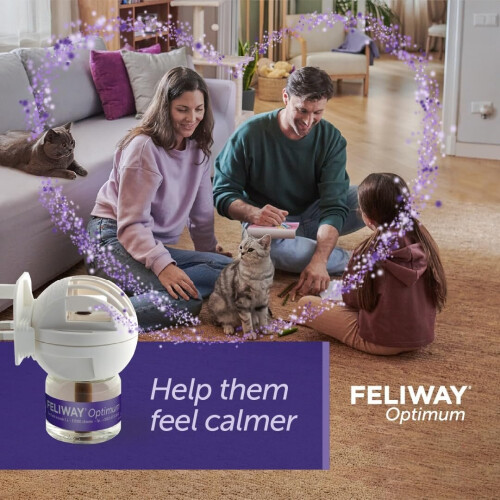 Feliway FELIWAY Optimum diffuser & 30 day refill cat conflict and stress 48 ml 2