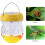 Hornet Traps For Outdoors 4
