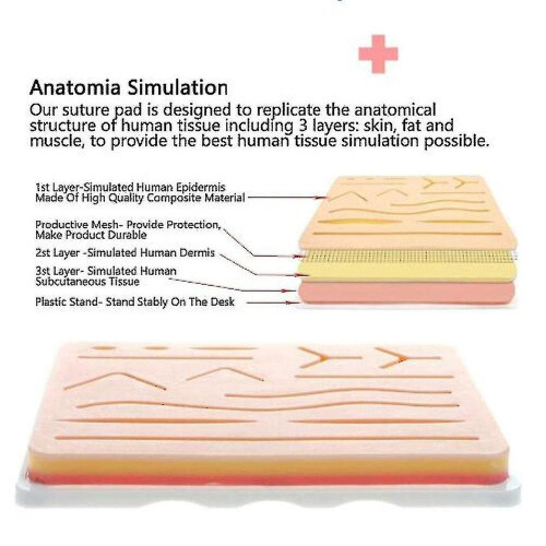 All-inclusive Suture Kit For Developing And Refining Suturing Techniques 2