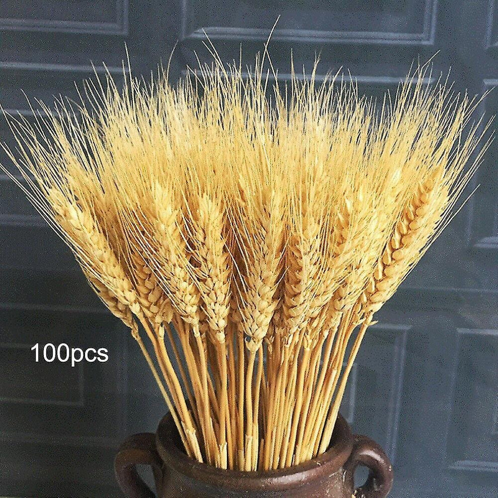 100 Pcs Stems Dried Flowers Wheat Bunch Wedding Arrangement Natural Bouquet 2023 New