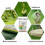 3packs 50g Bacillus Thuringiensis Vegetable Fruit Tree Biopesticide Insecticide 3