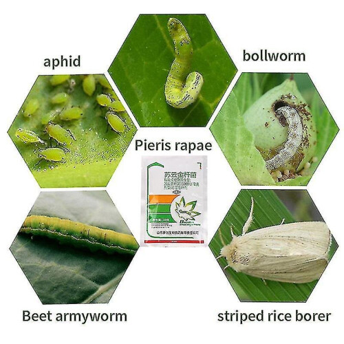 3packs 50g Bacillus Thuringiensis Vegetable Fruit Tree Biopesticide Insecticide 2