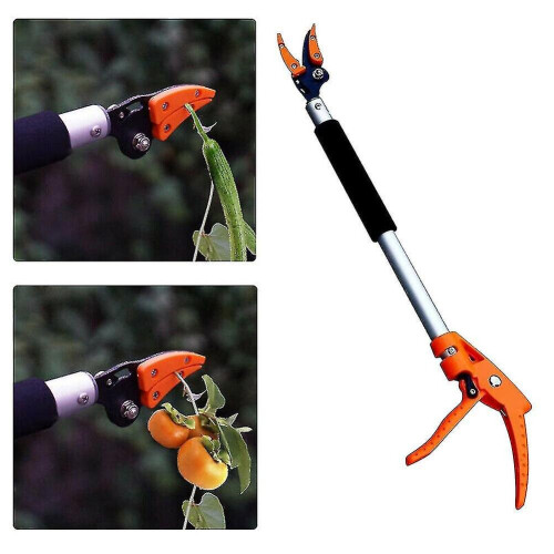 Durable Long Handle Fruit Picker Garden Long Reach Tree Pruner Secateurs Hand Tools 2