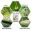 3packs 50g Bacillus Thuringiensis Vegetable Fruit Tree Biopesticide Insecticide 3