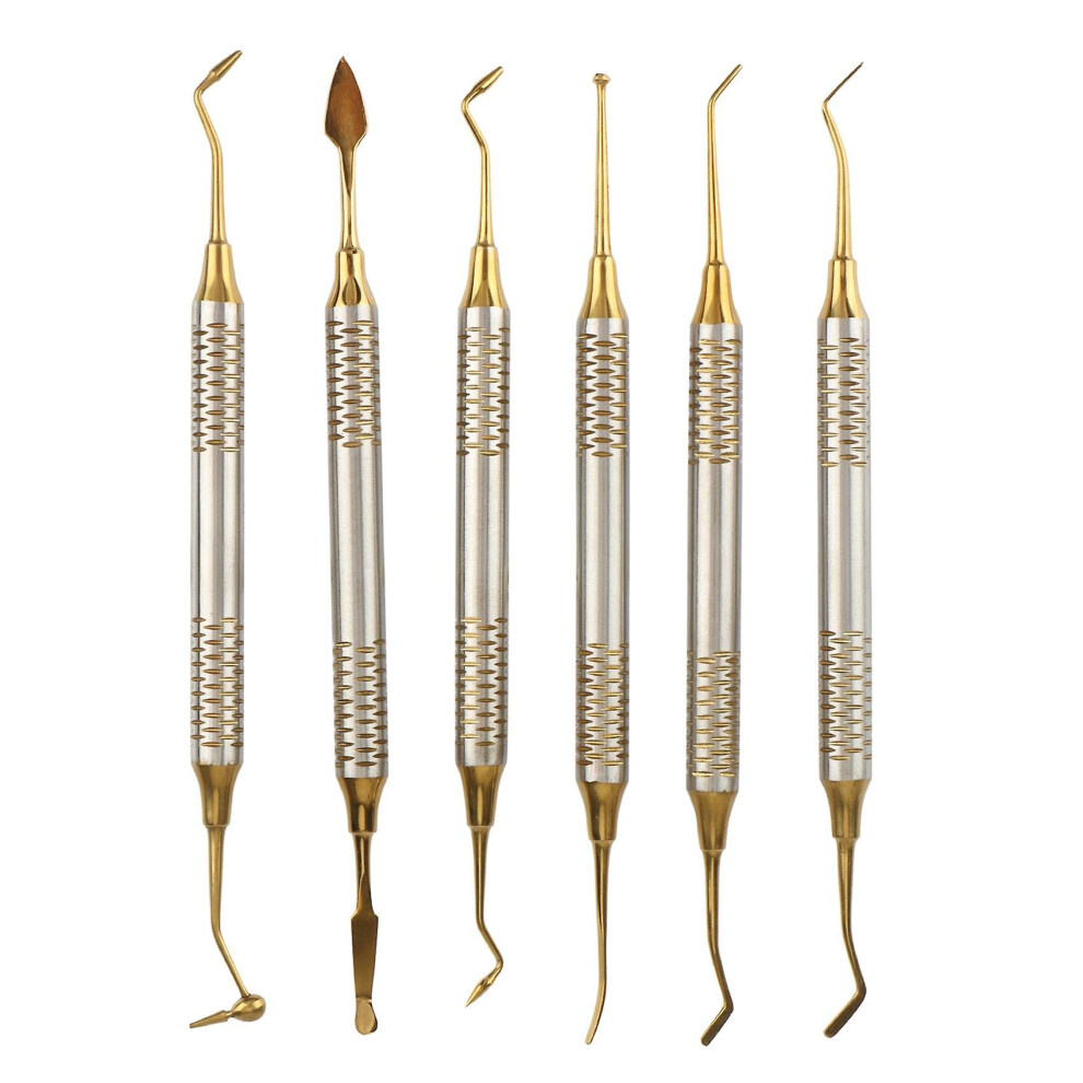 6pcs Dental Instrument Composite Resin Filling Spatula Titanium-plated Head Filling