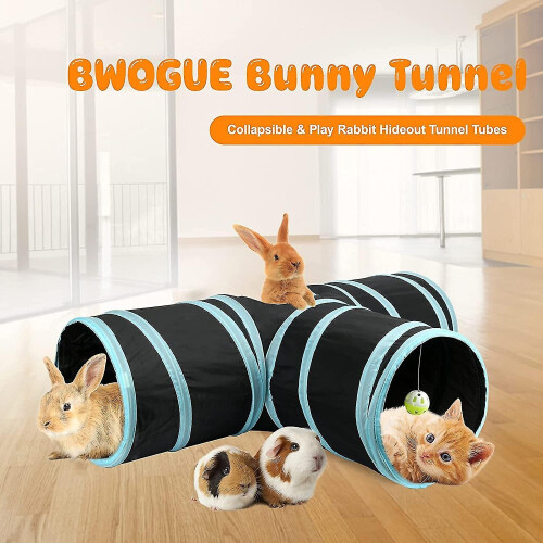 Bunny Tunnels 2