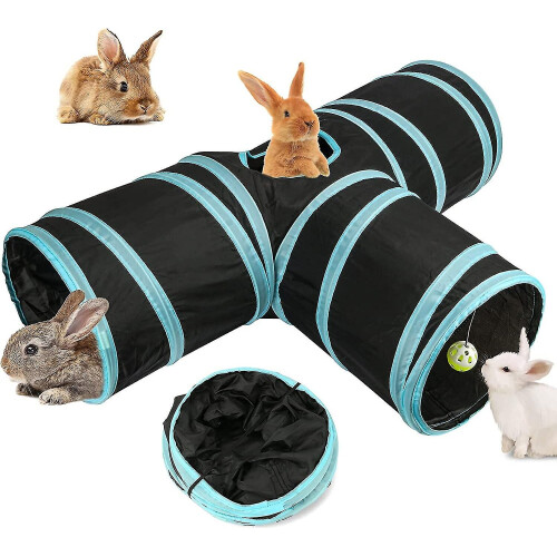Bunny Tunnels