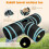 Bunny Tunnels 4