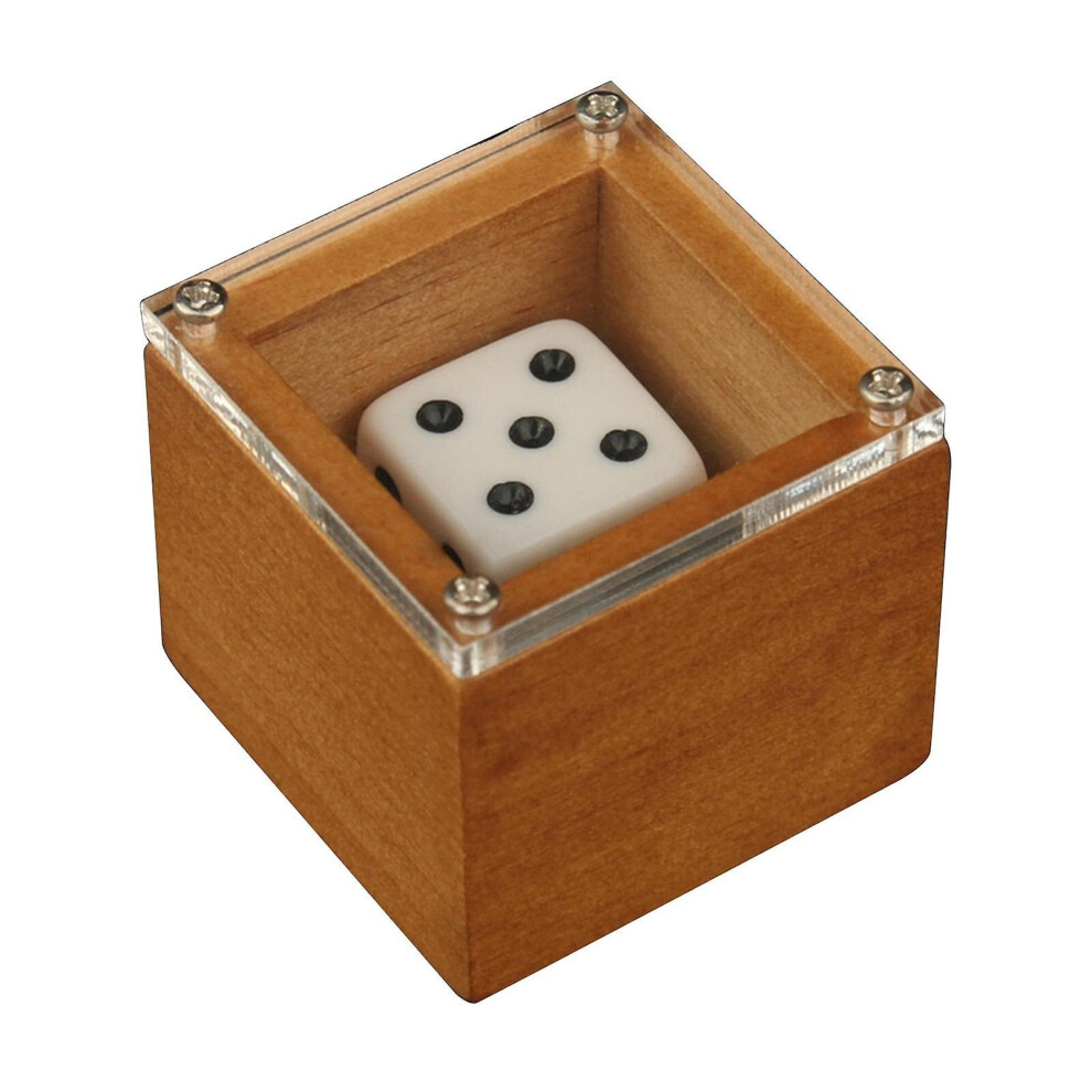 Magic Dice Magic Props Dice Trick Dot Number Change Dice Magic Stage Illusion Props Large