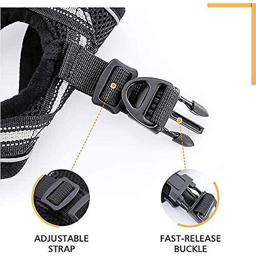 Cat Harness Kitten Harness With Cat Lead, Soft 1