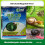 15 G Metaldehyde  Killlugsnails Porcellio Pill Bugsoft Pest 3