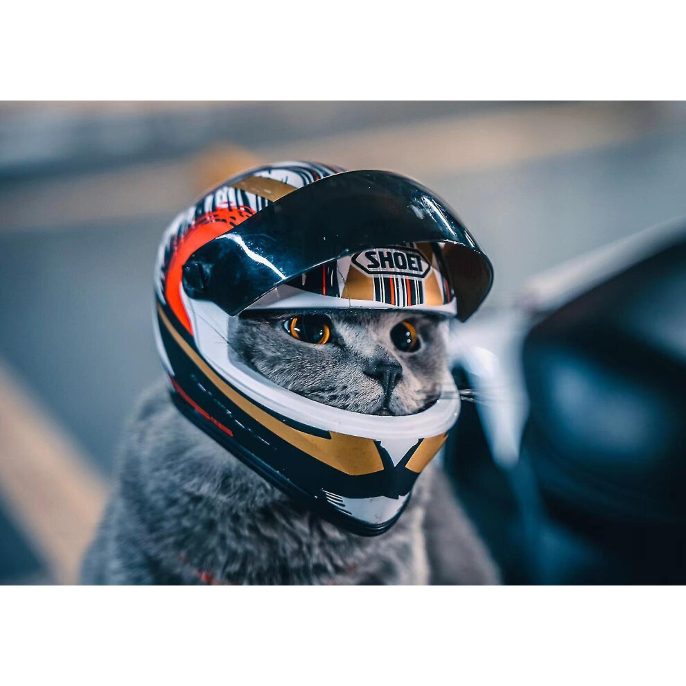 Pet Helmets,cat Helmet,dog Helmet-outdoor Mini Head Protecting Safe Hat,motorcycle Helmet Decorative,pet Photo Props Accessorie