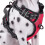 No-pull Dog Harness Padded Adjustable Pet Vest Harness For Large Dogs Training Or Walking 5