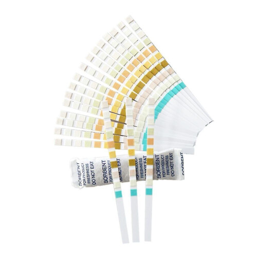 10-in-1 Urine Test Strips 100 Pcs Urinalysis Testing Kit Leukocytes Nitrite Ph 1