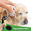 Dog Shower Shower Dog Shower Head 2