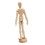 Wooden Male 2