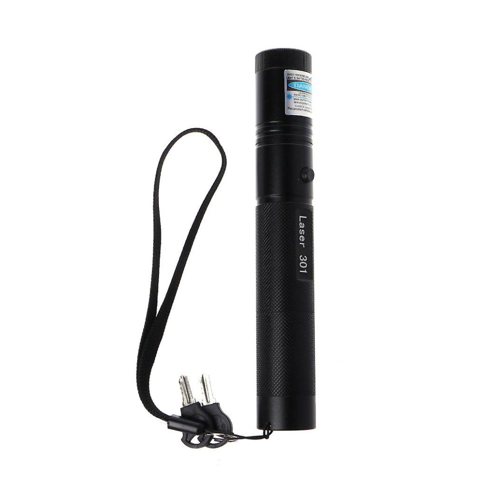 Professional - 405Nm Laser Pointer Pen 5Mw (Model 301) Aluminum Alloy Visible Beam For Presentations And Teaching Blue/Purple