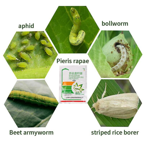 (1Pc) Bacillus Thuringiensis Vegetable Fruit Tree Biopesticide Insecticide 1