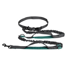 (Aqua Green) Adjustable Elastic Waist Belt Leash Hands Free Pet Dog Walking Hiking Running