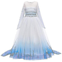 3-14 Years Girl Frozen 2 Queen Elsa Party Dress