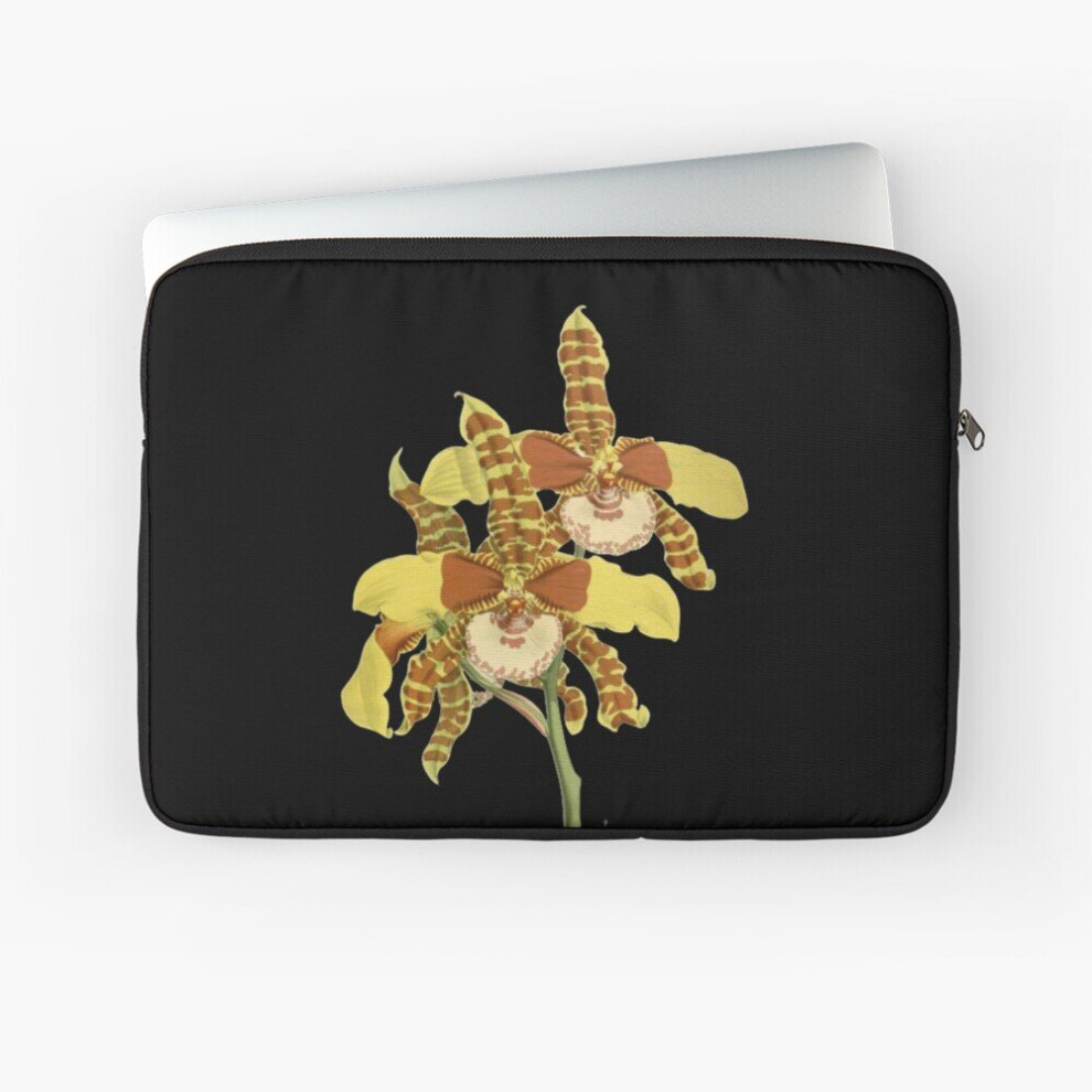 Laptop Sleeve Cattleya Orchid Botanical Illustration 10 12 13 15 17 Inch Case Notebook Tablet Carrying Bag Cover 7802738517736