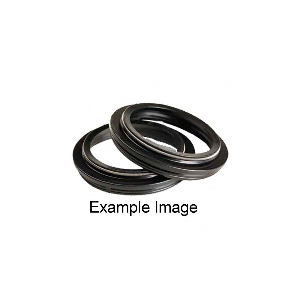 Ariete 176 Dust Seals Pair 48 X 58 /4 X 5 /8/13 Y-2 Cap