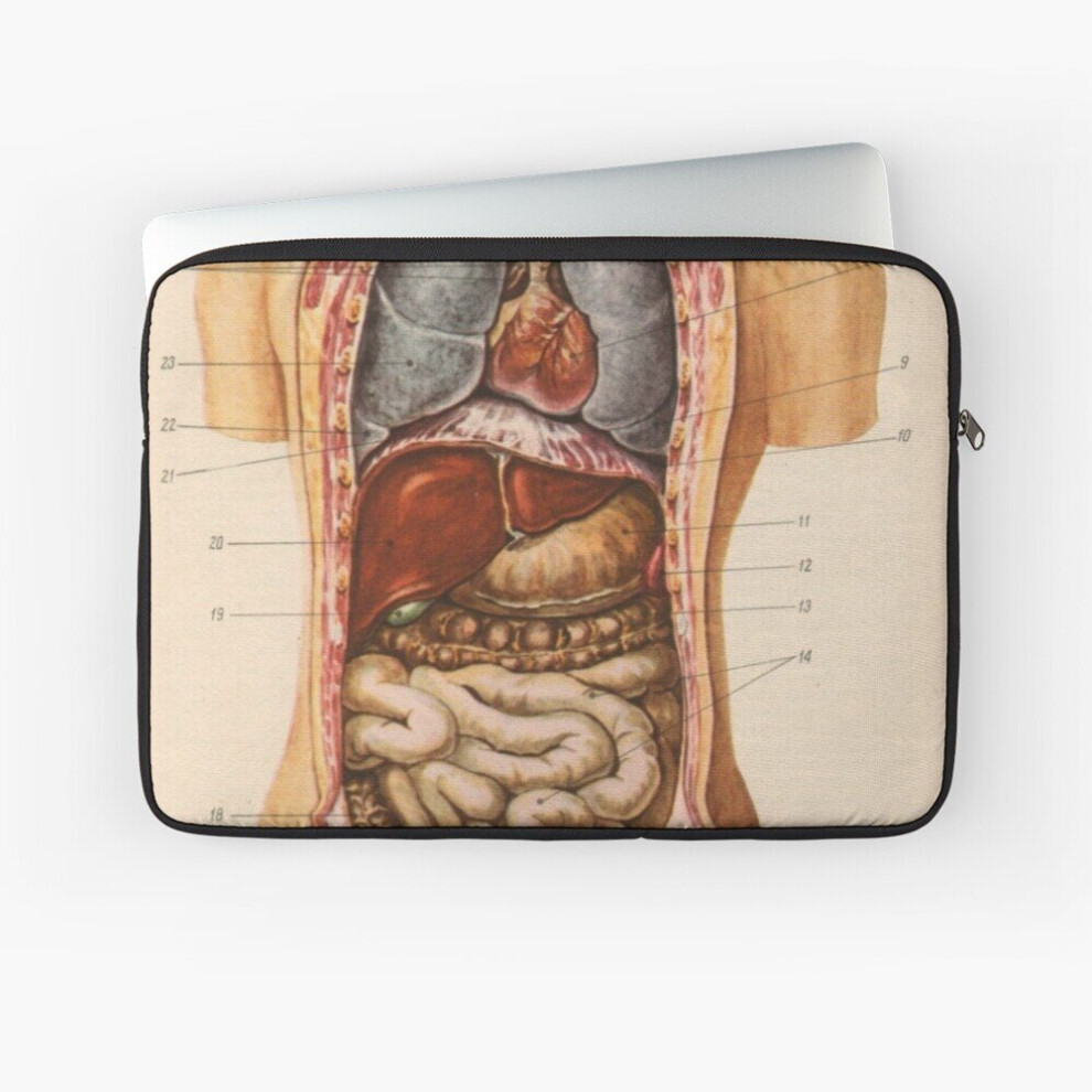 Laptop Sleeve Exposed Anatomy 10 12 13 15 17 Inch Case Notebook Tablet Carrying Bag Cover 7802738447811