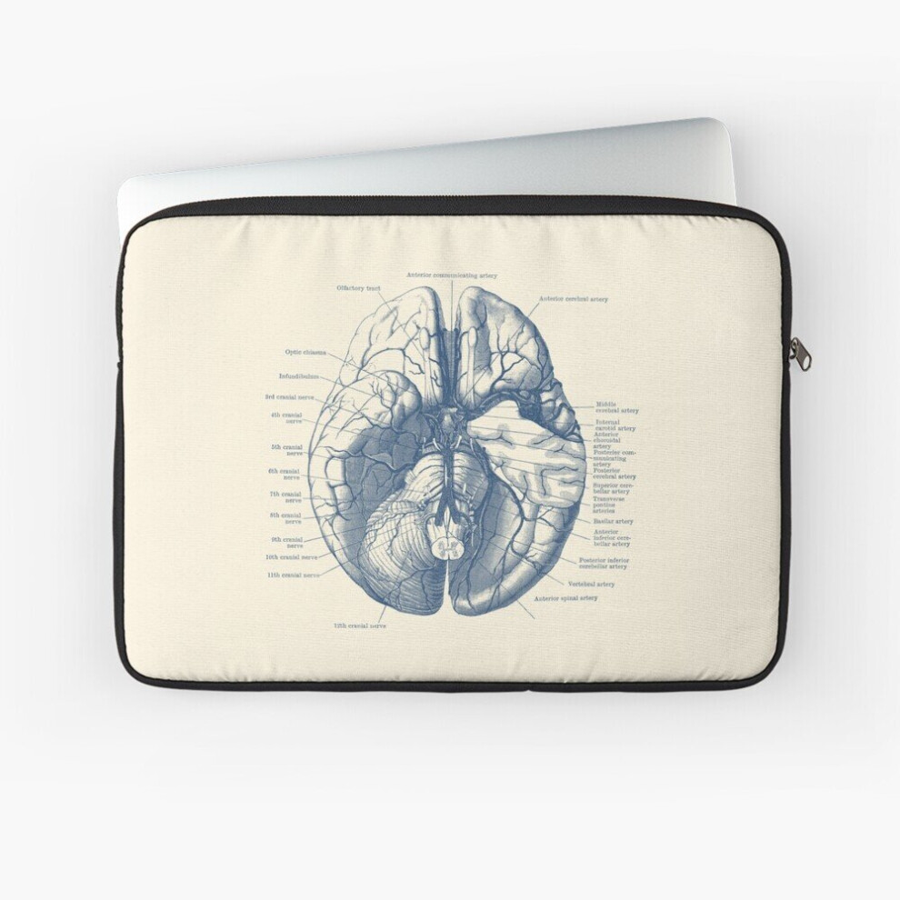 Laptop Sleeve Human Brain Diagram 10 12 13 15 17 Inch Case Notebook Tablet Carrying Bag Cover 7802738505283