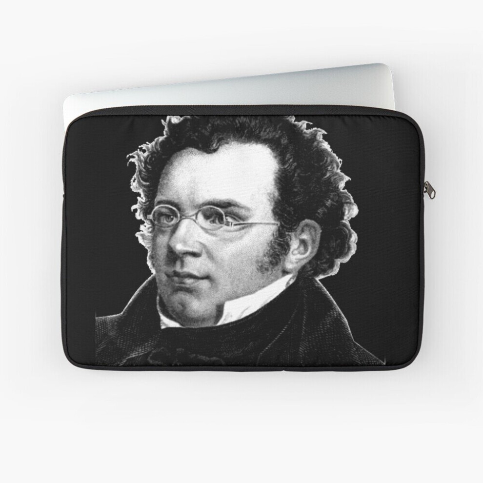 Laptop Sleeve Franz Schubert - Great Composer 10 12 13 15 17 Inch Case Notebook Tablet Carrying Bag Cover 7802738484267
