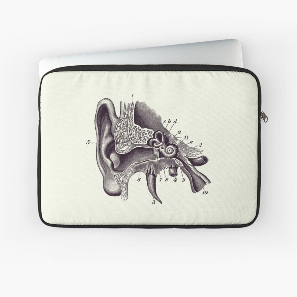 Laptop Sleeve Human Inner Ear Anatomy Diagram - Vintage Print 2 10 12 13 15 17 Inch Case Notebook Tablet Carrying Bag Cover 7802738492330