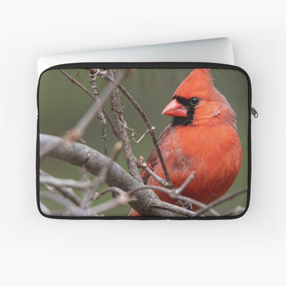 Laptop Sleeve Male Cardinal Perched On Branches 10 12 13 15 17 Inch Case Notebook Tablet Carrying Bag Cover 7802738510096