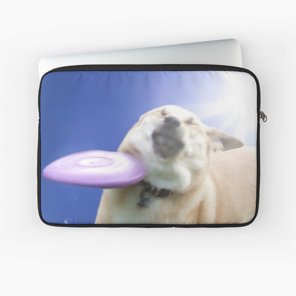 Laptop Sleeve Frisbee Dog, Doggo #4 10 12 13 15 17 Inch Case Notebook Tablet Carrying Bag Cover 7802738463392