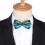 Mens Jacquard Suit Butterfly 3