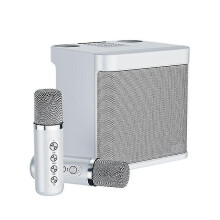 100w Portable Professional Karaoke Speaker Dual Wireless Karaoke Microphone Cordless Stereo Bass Speaker
