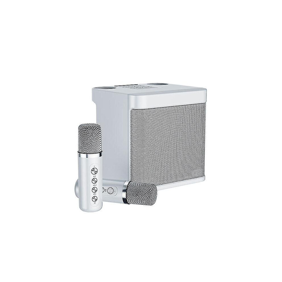 100w Portable Professional Karaoke Speaker Dual Wireless Karaoke Microphone Cordless Stereo Bass Speaker