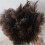 Household And Office Feather Dusters, Natural Ostrich Feathers 5