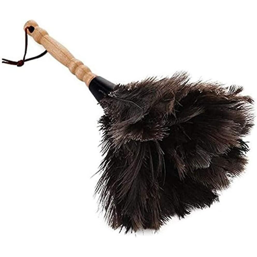 Household And Office Feather Dusters, Natural Ostrich Feathers