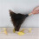 Household And Office Feather Dusters, Natural Ostrich Feathers 3